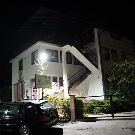 Passiflora Hotel Voineasa Kültér fotó
