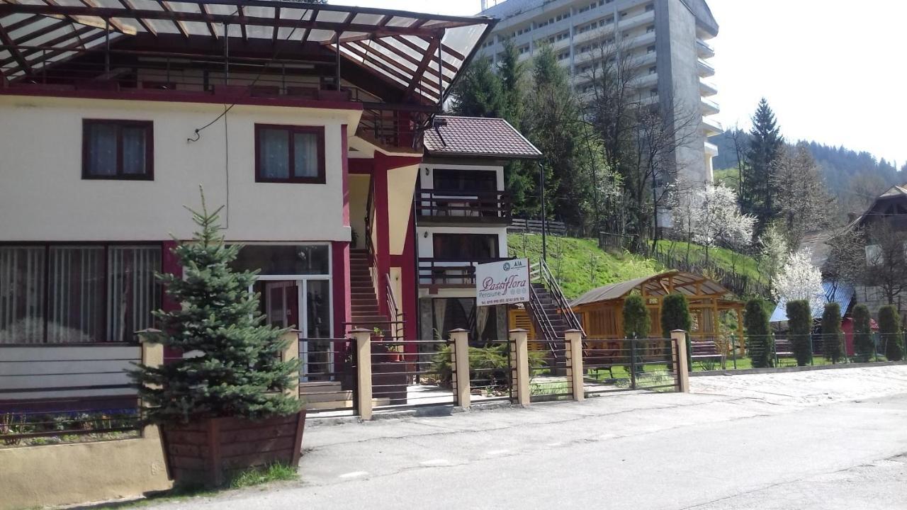 Passiflora Hotel Voineasa Kültér fotó